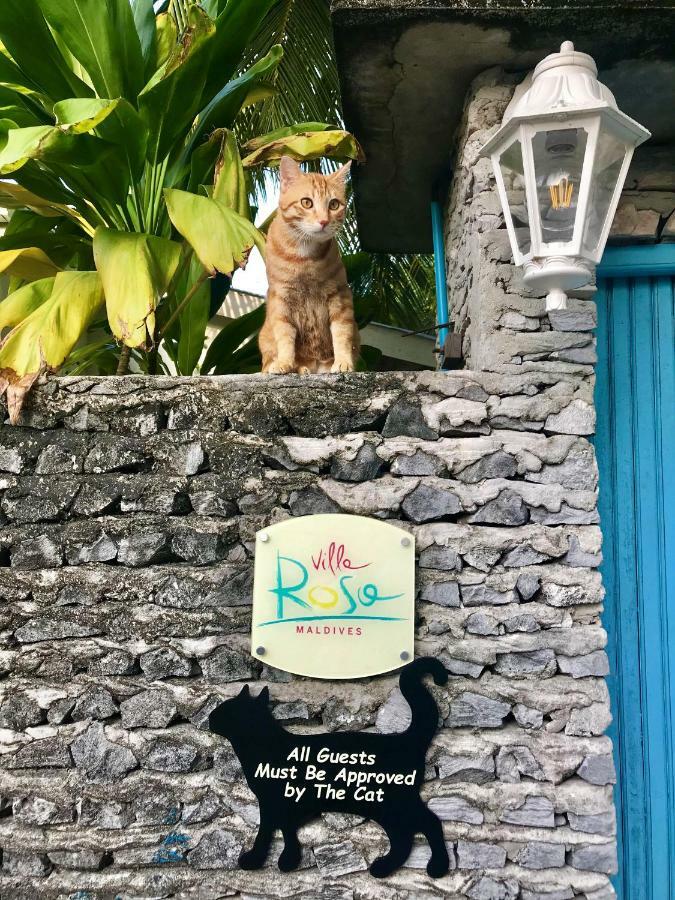 罗莎马尔代夫别墅 Feridhoo 外观 照片